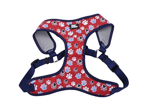 Coastal Pet Ribbon Designer Wrap Adjustable D