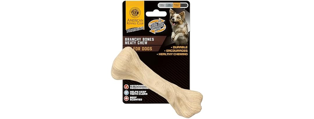 American Kennel Club Training Dog Chew Toy, Large Bone