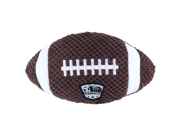 SportsBallz Football