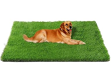 Fhiny Artificial Grass Rug