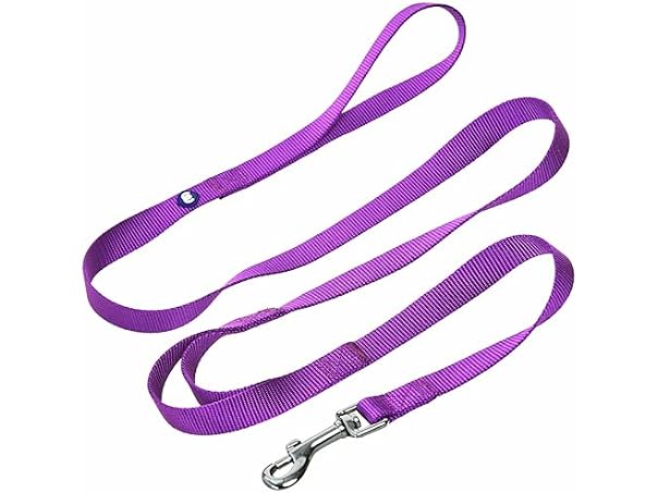 Blueberry Pet Essentials Double Handle Dog Leash