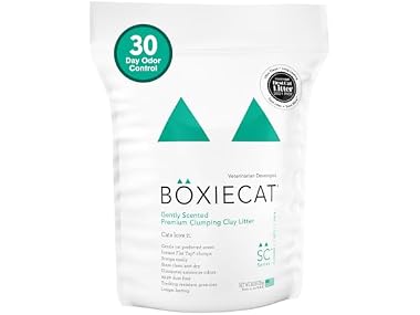 Boxiecat Gently Scented Premium Clumping Clay