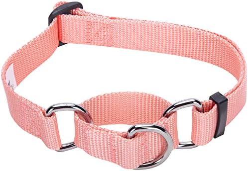 Blueberry Pet Essentials Martingale Safety Collar