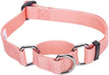 Blueberry Pet Essentials Martingale Safety Collar