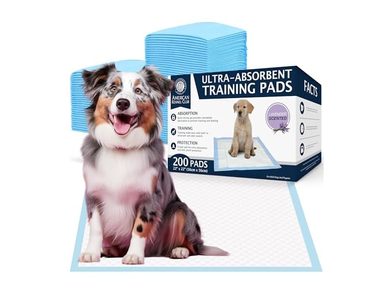American Kennel Club Scented Puppy Training Pad