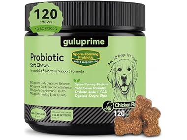 Probiotics for Dogs