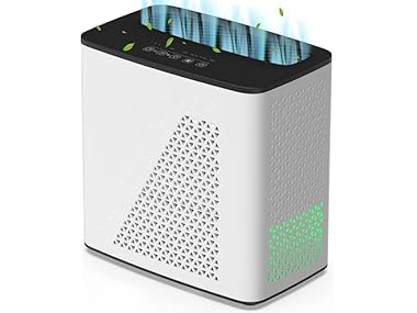 YIOU HEPA Air Purifier for Large Room