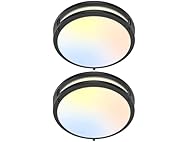 GoBright 2-Pack 10" Bathroom Light Fixture Ceiling Mount