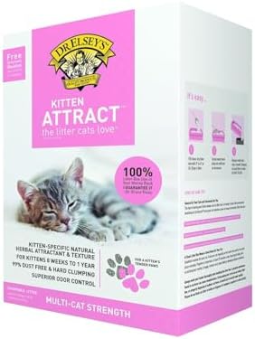 Precious Cat Kitten Attract Kitten Training L