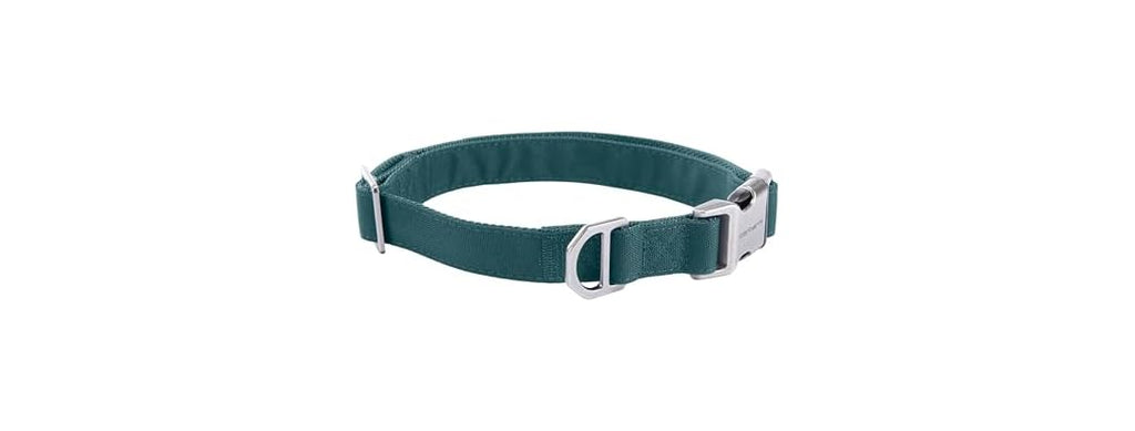 Carhartt Field Dog Collar, Fully Adjustable Greenstone, Med