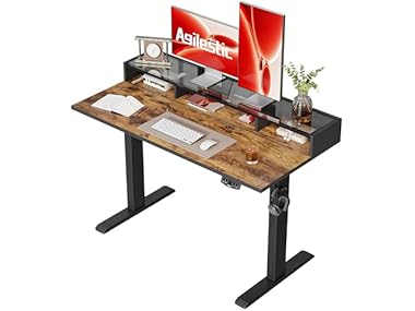 48 X 24 Inches Electric Standing Desk