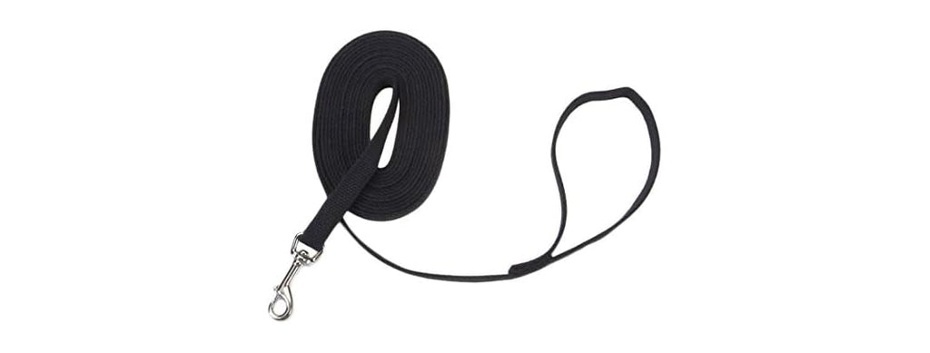 Coastal Pet Train Right Cotton Web Dog Traini