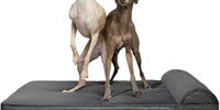 NOAH & PAW Orthopedic Dog Beds- Large