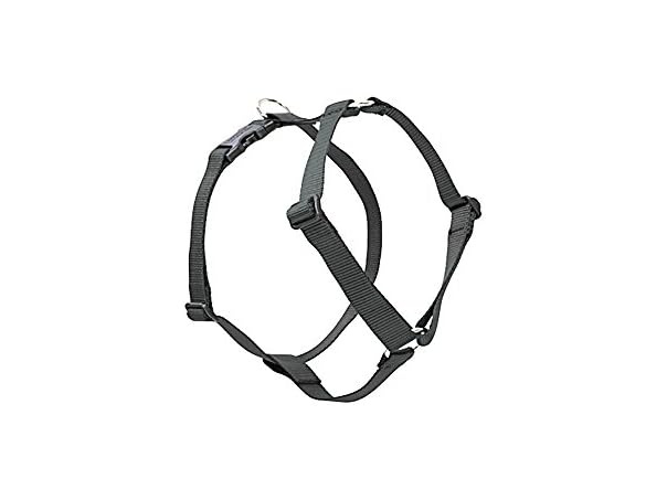 LupinePet Basics 1/2" Black 9-14" Adjustable Harnass