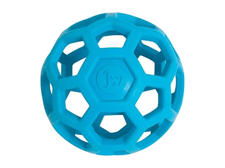 JW Pet Hol-ee Roller Dog Toy Puzzle Ball, Small