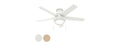 Hunter Fan 46" Contemporary w/ Light