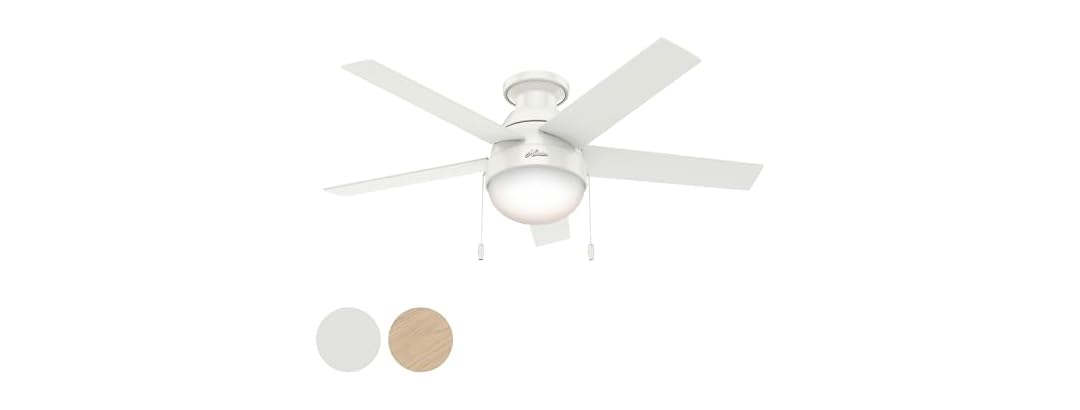 Hunter Fan 46" Contemporary w/ Light