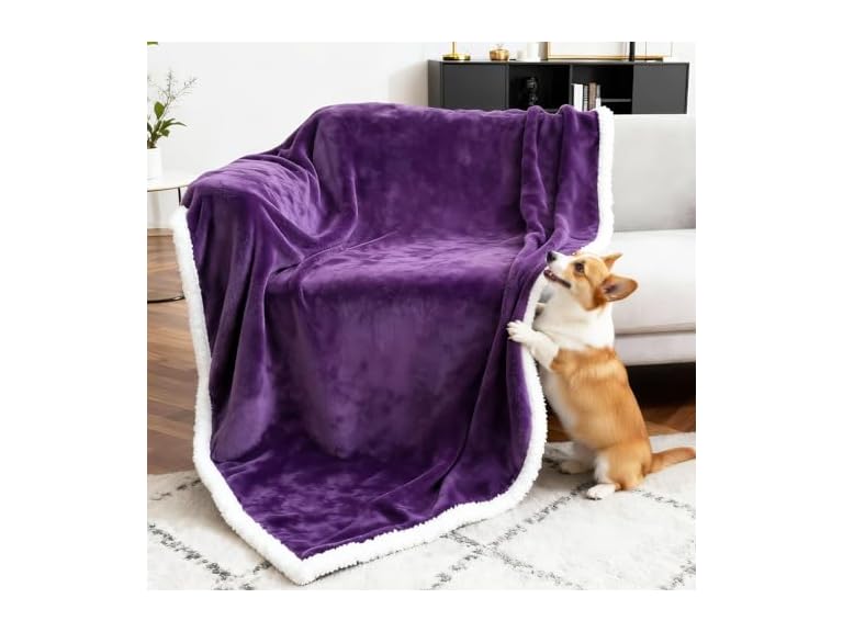 BoxZone Waterproof Dog Blanket- Purple White Large