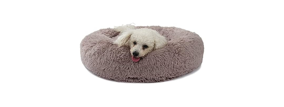 Dog Beds for Medium Dogs Washable Orthopedic