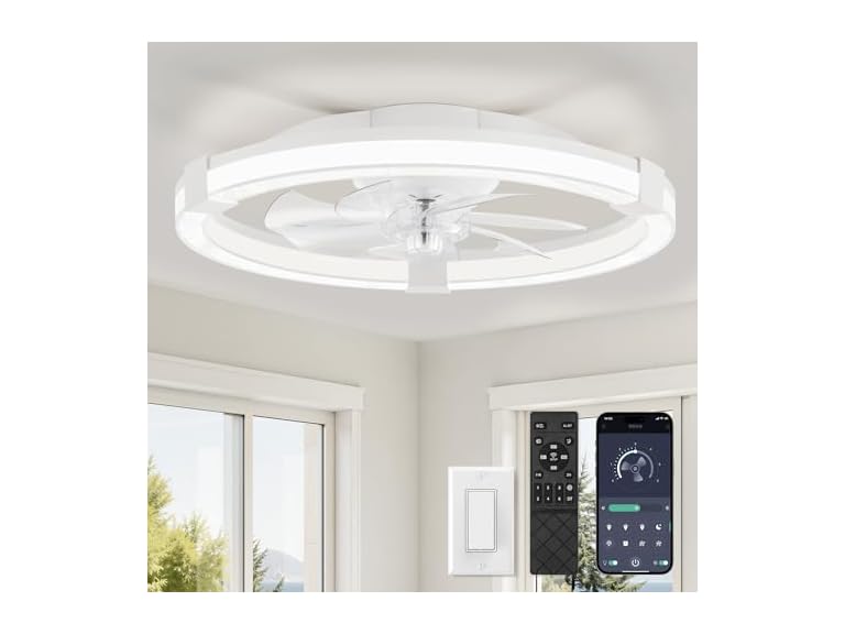 LEDIARY 20" Low Profile Ceiling Fan