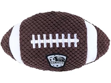 SportsBallz Football