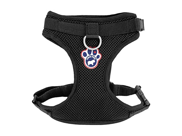 Canada Pooch Everything Dog Harness Black Mesh Medium