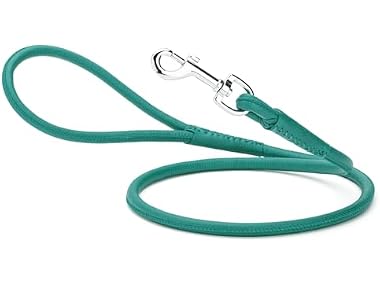 Dogline Rolled Leather Dog Leash - for Small