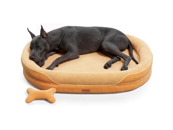 CWAWZ Brown XXL Orthopedic Dog Bed 53"