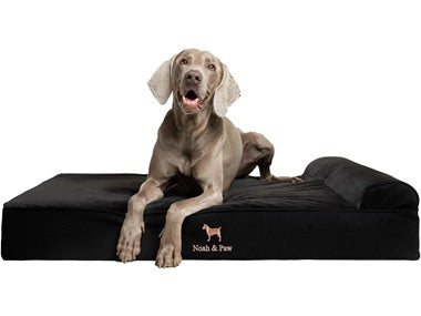 NOAH & PAW Orthopedic Dog Beds- XLarge