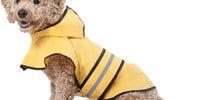 SPOT Ethical Fashion Pet Dog Raincoat
