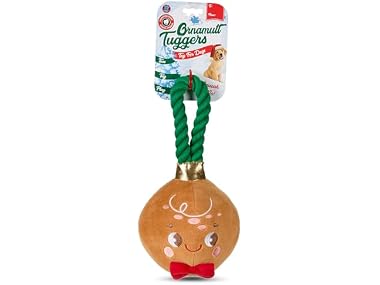 Bow Wow Pet Gingerbread Ornament Rope Plush Dog Toy