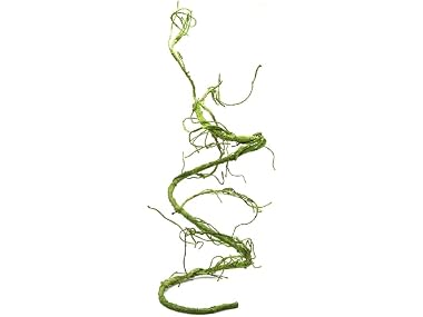 Pangea Reptile Ultimate Vine for Terrarium Ha