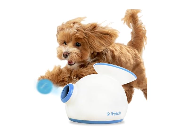 iFetch Automatic Ball Launcher for Small Dogs
