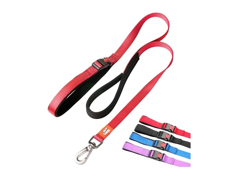 Canny Connect Leash - Anti Pull, Red