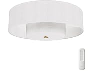 Hunter Fan 30" Fandelier w/ Light & Remote
