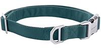 Carhartt Field Dog Collar, Fully Adjustable Greenstone, Med