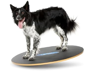 FitPAWS Wobble Board - Dog Balance Training E