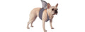 Rubies Shark Fin Pet Costume for Dogs