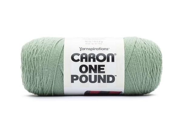 Spinrite Caron One Pound Yarn-Succulent