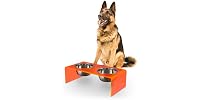 Keaton 7.5" Modern Acrylic Rectangular Elevated Pet Feeder