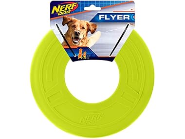 Nerf Dog 13in 2-Ring Strap Tug - Blue/Green