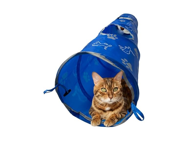 NFL Detroit Lions Cat Tunnel Tube Toy