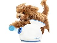 iFetch Automatic Ball Launcher for Small Dogs