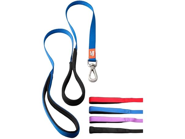 Canny Leash - Anti-Pull Dog Leash for Head Blue