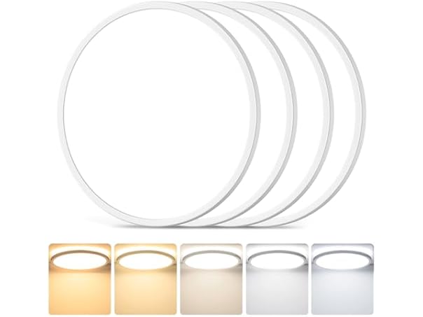 3200LM Flush Mount Ceiling Light Fixtures, 12in 24W