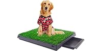 Sandinrayli Indoor Outdoor Dog Puppy Potty Trainer