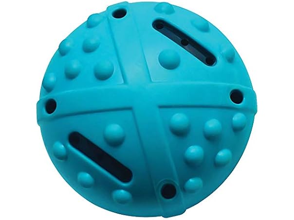 Champion Companion TPR Squeaky Bouncing Ball