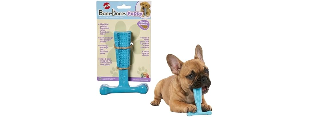 SPOT Bam-Bones Puppy T-Bone Dog Chew Toy- 6" Blue