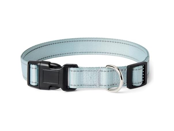 Amazon Basics Reflective Polyester Dog Collar- XL