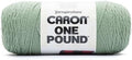 Spinrite Caron One Pound Yarn-Succulent